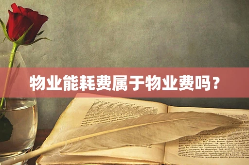 物业能耗费属于物业费吗？