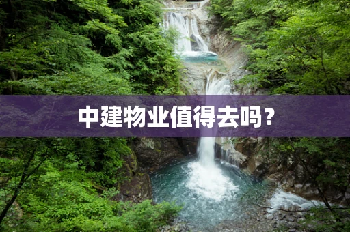 中建物业值得去吗？
