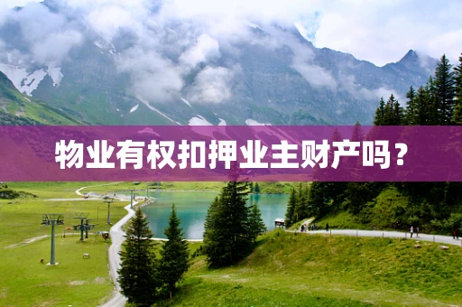 物业有权扣押业主财产吗？