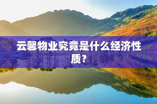 云馨物业究竟是什么经济性质？