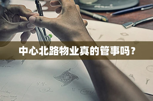 中心北路物业真的管事吗？