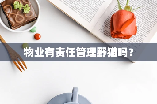 物业有责任管理野猫吗？