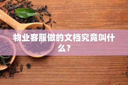 物业客服做的文档究竟叫什么？