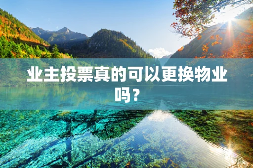 业主投票真的可以更换物业吗？