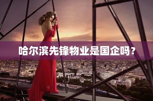 哈尔滨先锋物业是国企吗？
