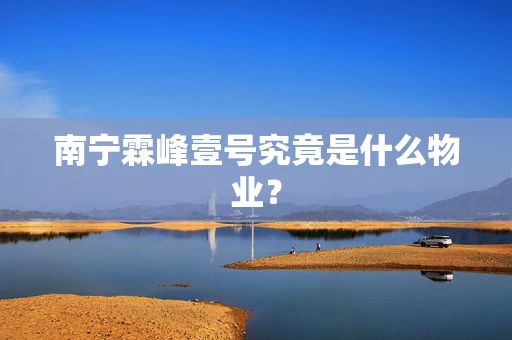 南宁霖峰壹号究竟是什么物业？