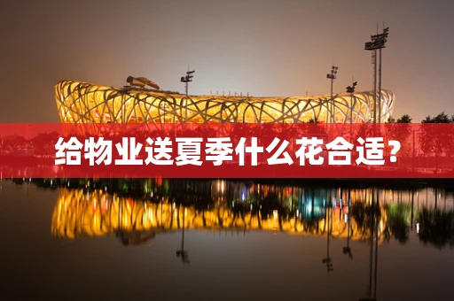 给物业送夏季什么花合适？