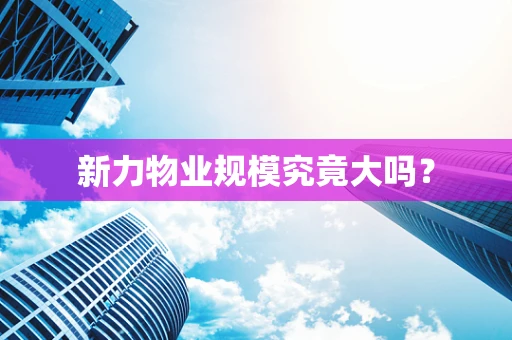 新力物业规模究竟大吗？