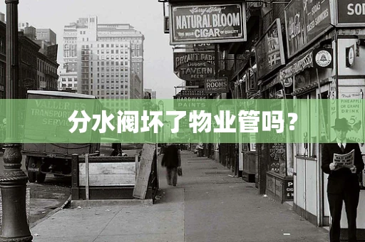 分水阀坏了物业管吗？