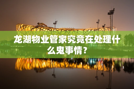 龙湖物业管家究竟在处理什么鬼事情？
