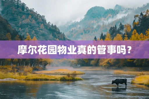 摩尔花园物业真的管事吗？