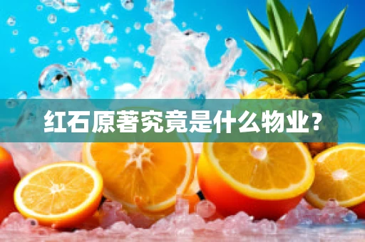 红石原著究竟是什么物业？