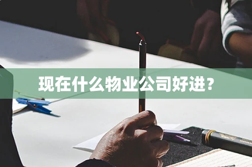 现在什么物业公司好进？