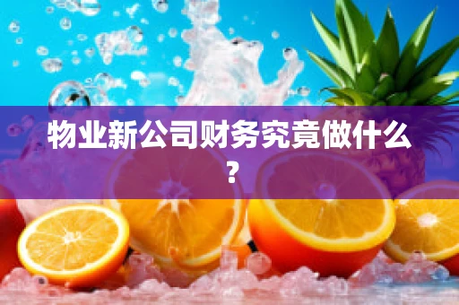 物业新公司财务究竟做什么？