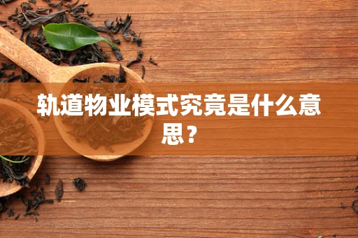 轨道物业模式究竟是什么意思？