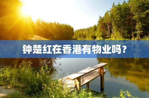 钟楚红在香港有物业吗？