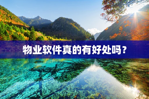 物业软件真的有好处吗？