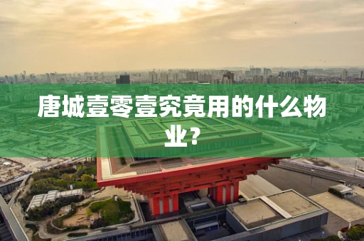 唐城壹零壹究竟用的什么物业？