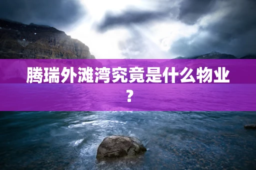 腾瑞外滩湾究竟是什么物业？