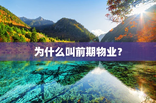 为什么叫前期物业？
