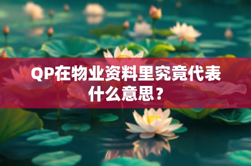 QP在物业资料里究竟代表什么意思？