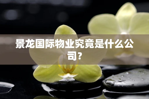 景龙国际物业究竟是什么公司？