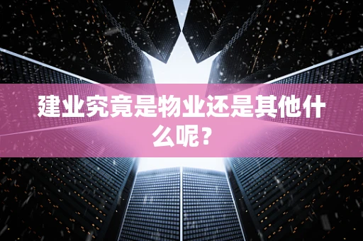 建业究竟是物业还是其他什么呢？