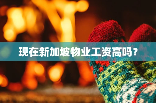 现在新加坡物业工资高吗？