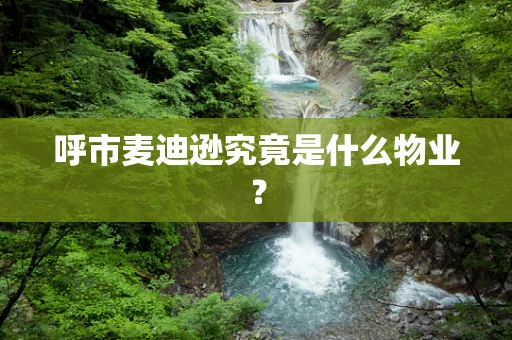 呼市麦迪逊究竟是什么物业？