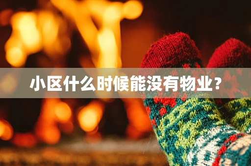 小区什么时候能没有物业？