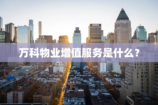 万科物业增值服务是什么？