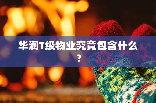 华润T级物业究竟包含什么？