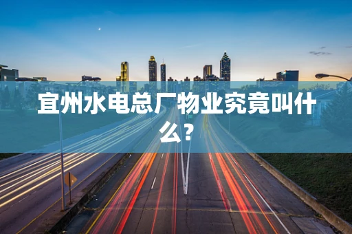宜州水电总厂物业究竟叫什么？