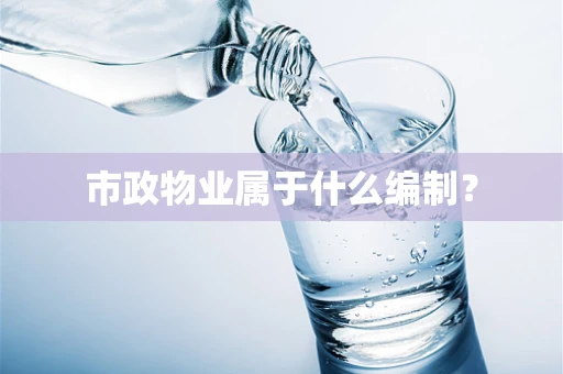 市政物业属于什么编制？