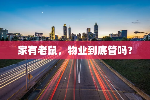 家有老鼠，物业到底管吗？
