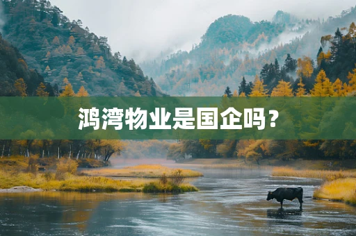 鸿湾物业是国企吗？
