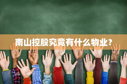 南山控股究竟有什么物业？