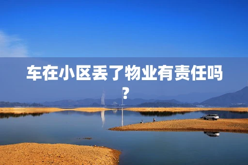 车在小区丢了物业有责任吗？