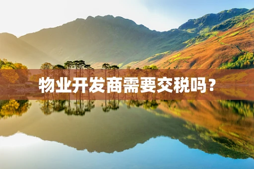 物业开发商需要交税吗？