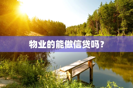物业的能做信贷吗？