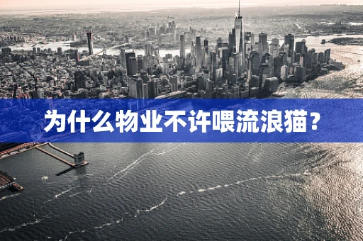 为什么物业不许喂流浪猫？