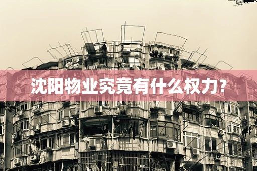 沈阳物业究竟有什么权力？