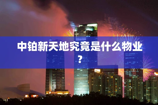 中铂新天地究竟是什么物业？