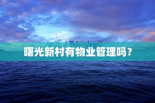 曙光新村有物业管理吗？