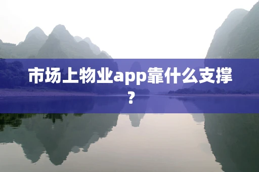市场上物业app靠什么支撑？