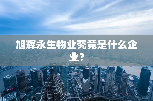 旭辉永生物业究竟是什么企业？
