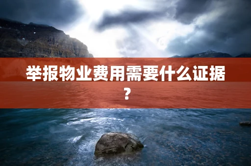 举报物业费用需要什么证据？