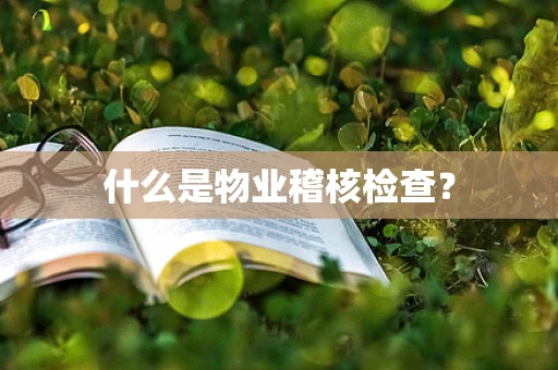 什么是物业稽核检查？