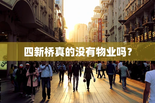 四新桥真的没有物业吗？