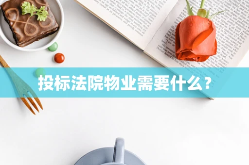 投标法院物业需要什么？